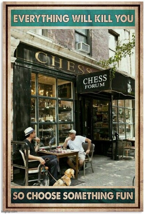 Chess can be played anywhere!